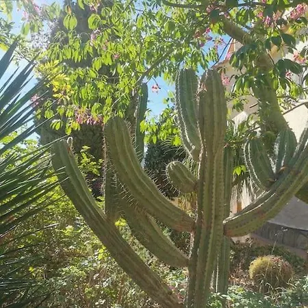 Deanna Magnifique Vue Situe A 1,5 Km De La * Calp